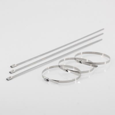 Stainless Steel Cable Ties